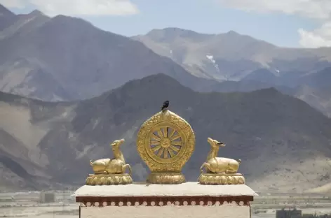 La roue du Dharma et les biches - Tibet