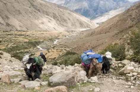 Vers le premier col - Tibet