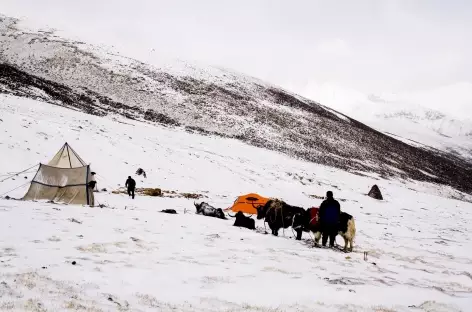 Camp sous la neige - Tibet