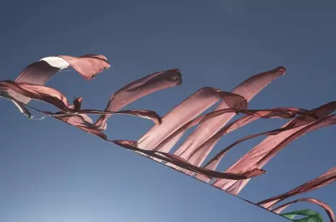 Drapeaux au vent - Tibet