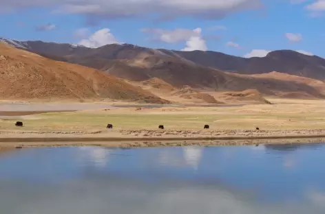 De Saga à Darchen