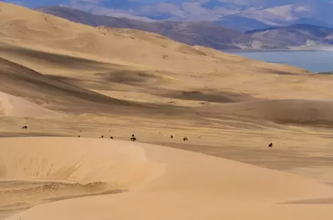 De Saga à Darchen