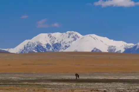 massif du Shakangham (6822m)