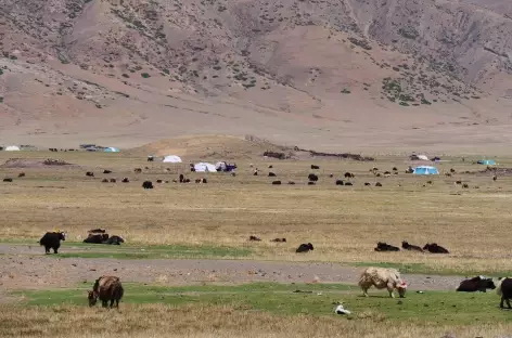 La route du nord_Nomades_Tibet