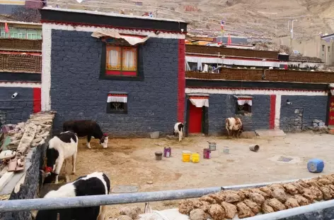 Ferme à Sakya