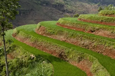 Trek > Ban Ria, route > Bac Ha