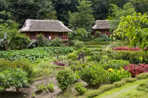 Pan Hou Vietnam