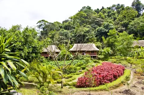 Pan Hou Vietnam - 