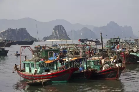 Baie d'Halong - Vietnam