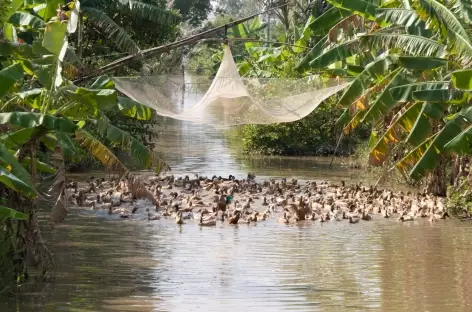 Delta Mekong Vietnam