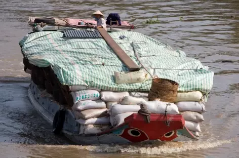 Delta Mekong Vietnam