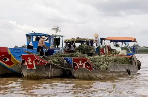 Delta Mekong - Vietnam