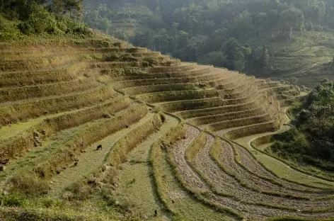 Région de Pan Hou - Vietnam