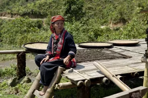 Région de Pan Hou - Vietnam