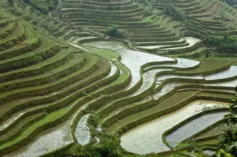 Région de Pan Hou