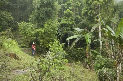 Pan Hou, trek > Nung Cu