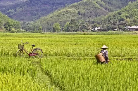 Balade dans les rizières de Mai Chau Vietnam