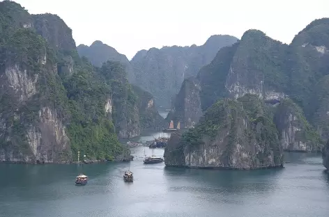 Navigation dans la baie d'Halong Vietnam