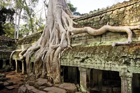 Angkor Vat - Cambodge