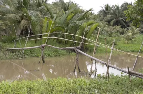 Delta Mekong Vietnam