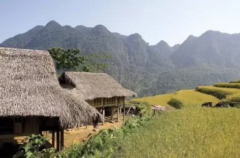 Région de Mai Chau - Vietnam