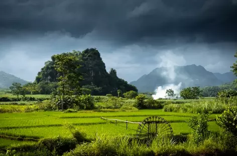 Champs de riz de Pu Luong, Mai Chau, Vietnam