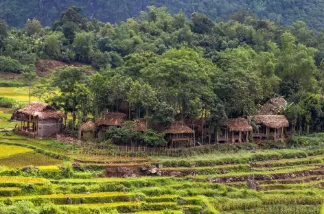 Pu Luong Nature Reserve_Vietnam