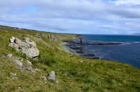 Littoral sauvage le long de la péninsule de Vatnsnes - Islande