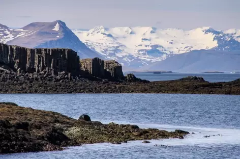 Sortie en mer depuis la péninsule de Snaefellsnes - Islande