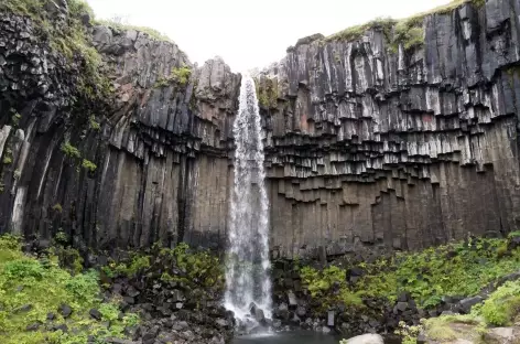 Cascade de Svartifoss - Islande