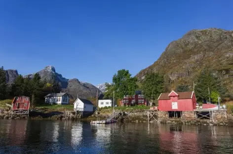  Lofoten - Norvège