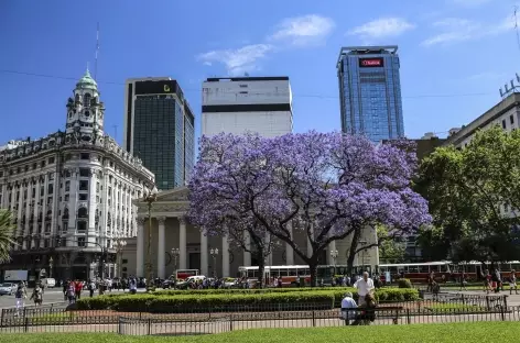 Buenos Aires - Argentine - 