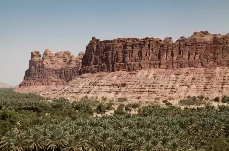 Palmeraie d'Al Ula - Arabie Saoudite