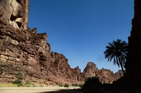 Canyon de Wadi Disah - Arabie Saoudite