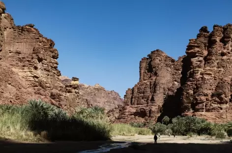 Canyon de Wadi Disah - Arabie Saoudite