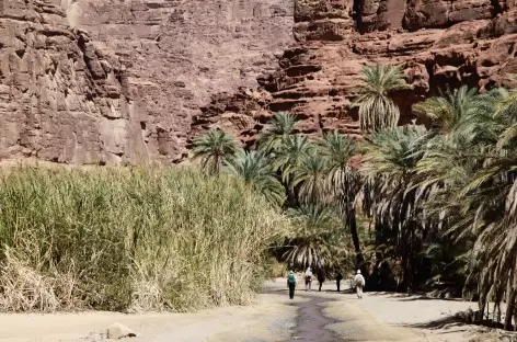 Canyon de Wadi Disah - Arabie Saoudite