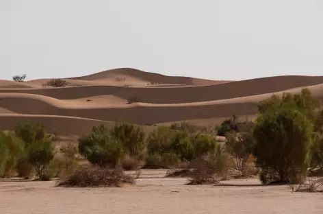 Désert Dasht- Kavir - Iran
