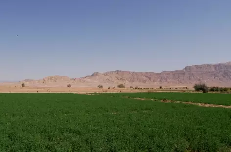 Désert Dasht- Kavir (oasis) - Iran