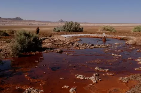 Désert Dasht- Kavir - Iran