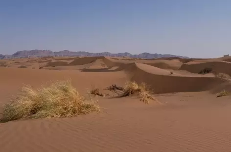 Désert du Dasht-e Kavir - Iran