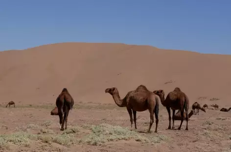 Désert de Maranjob - Iran