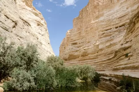 Marche dans le Wadi Tsin, désert du Néguev - Israël