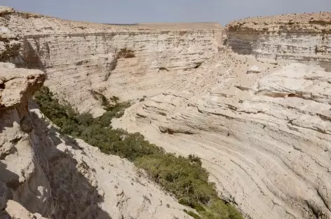 Marche dans le Wadi Tsin, désert du Néguev - Israël