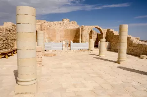 Cité nabatéenne d'Avdat, désert du Néguev - Israël