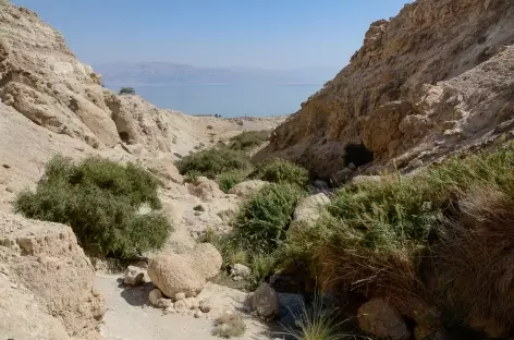 Réserve naturelle d'Ein Gedi - Israël