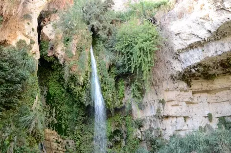 Réserve naturelle d'Ein Gedi - Israël