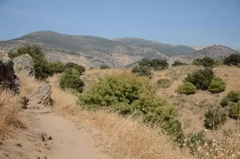 Réserve naturelle de Banias, Haute Galilée - Israël