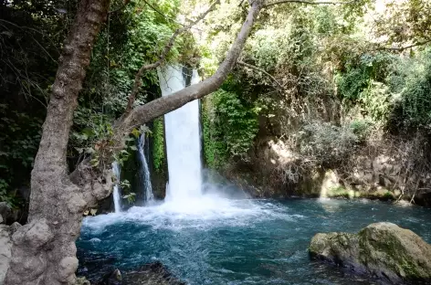 Réserve naturelle de Banias, Haute Galilée - Israël