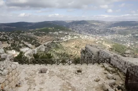 Depuis le château d'Ajloun - Jordanie