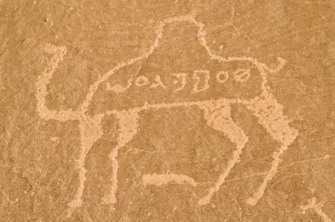 Gravures rupestres dans le désert du Wadi Rum - Jordanie